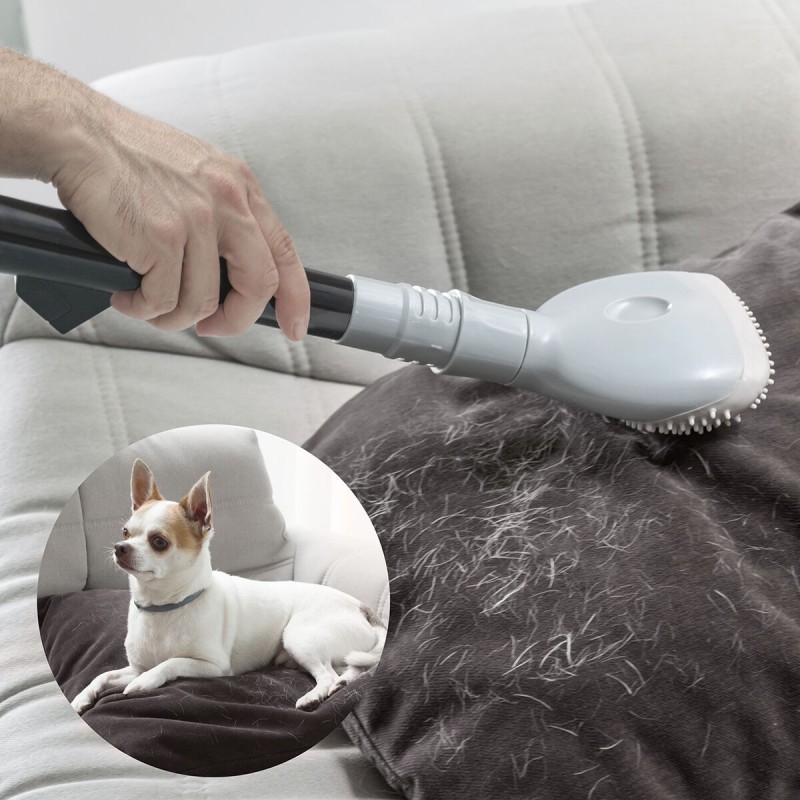 Brosse pour Aspirateur Smoovah