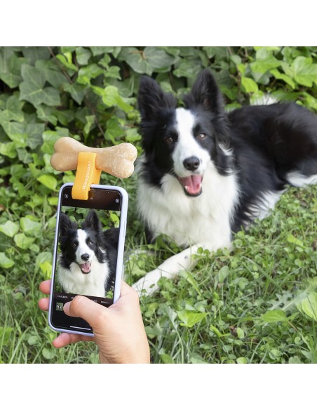 Clip selfies animaux Pefie InnovaGoods – Photos faciles