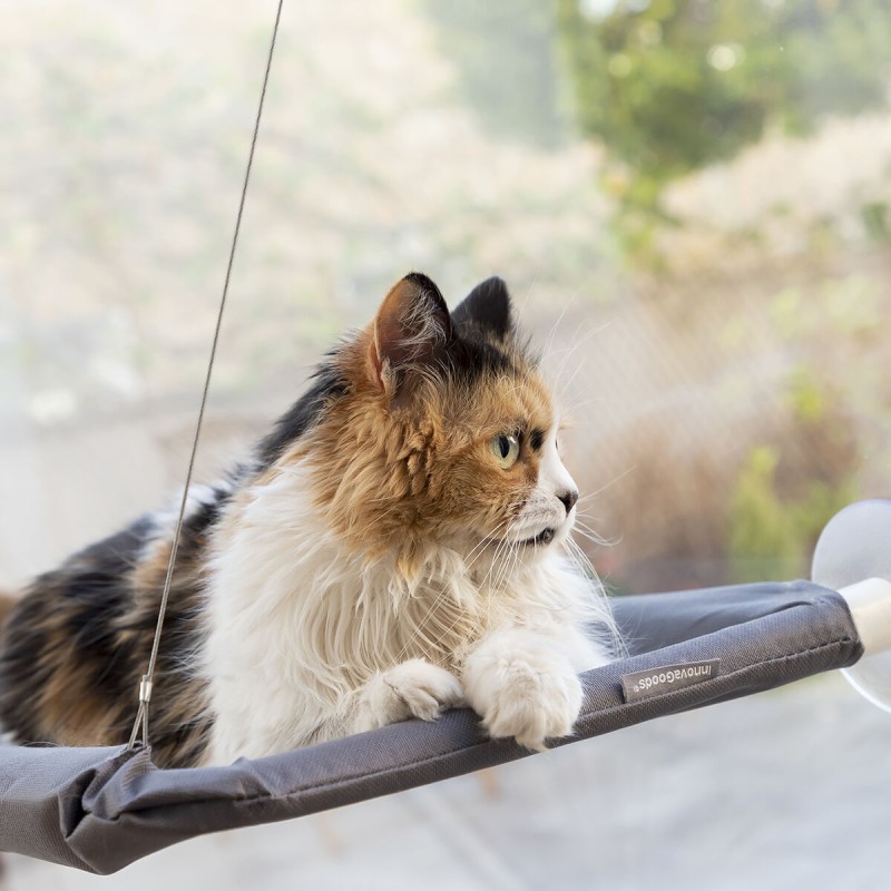 Hamac fenêtre Catlax InnovaGoods – Repos en hauteur