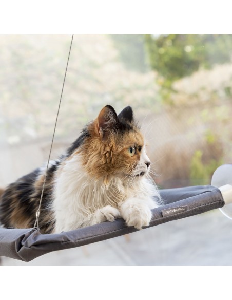 Hamac fenêtre Catlax InnovaGoods – Repos en hauteur