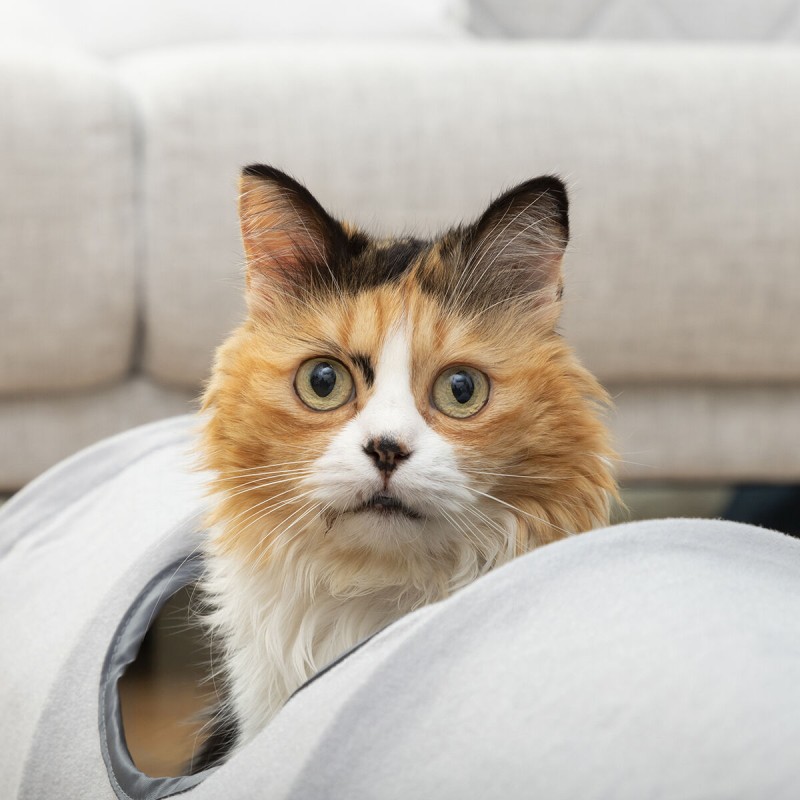Tunnel de jeu Funnyl InnovaGoods – Activité pour chats