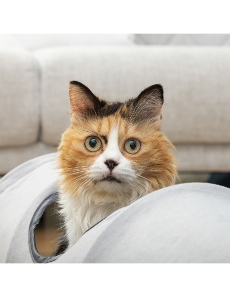 Tunnel de jeu Funnyl InnovaGoods – Activité pour chats