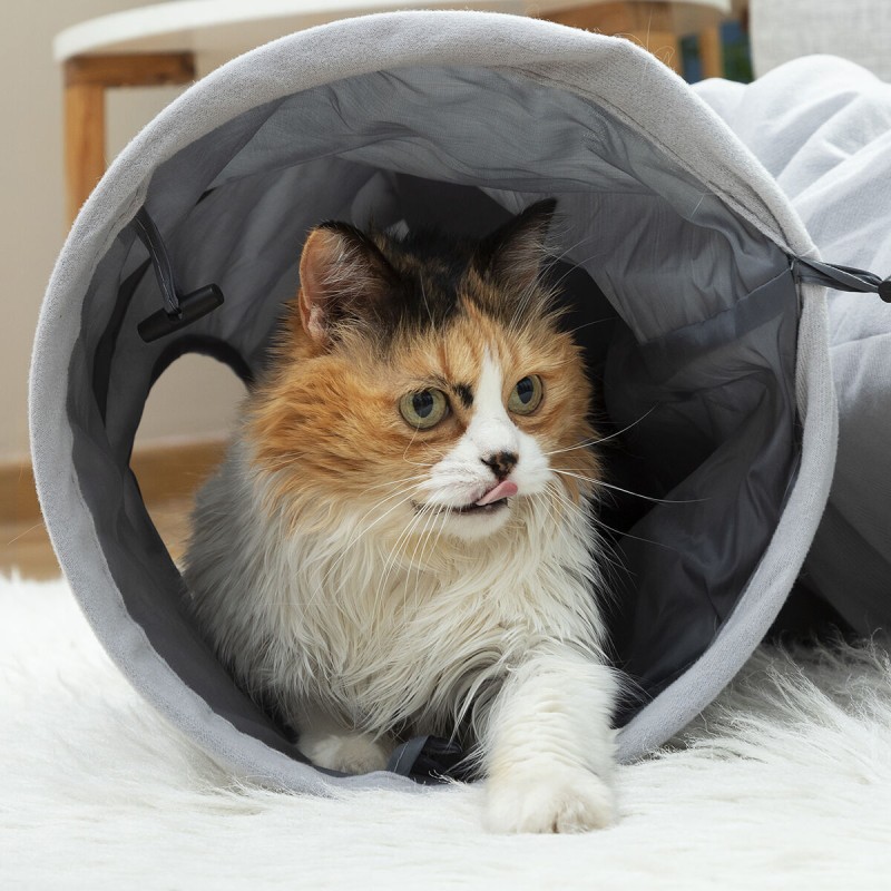 Tunnel de jeu Funnyl InnovaGoods – Activité pour chats