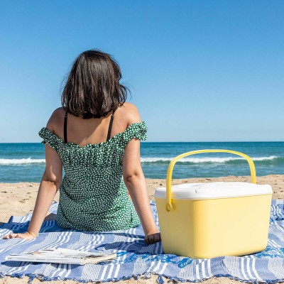Glacière rigide 15 L Lilty InnovaGoods – Fraîcheur portable