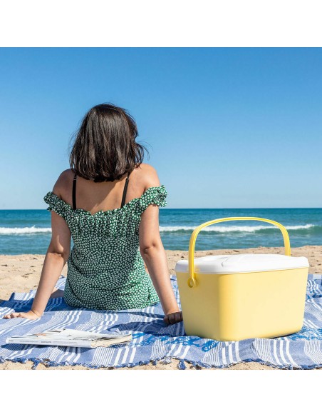 Glacière rigide 15 L Lilty InnovaGoods – Fraîcheur portable
