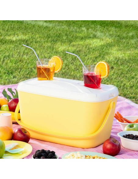 Glacière rigide 15 L Lilty InnovaGoods – Fraîcheur portable