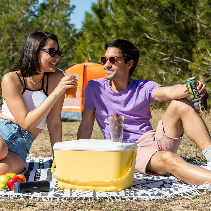 Glacière rigide 15 L Lilty InnovaGoods – Fraîcheur portable
