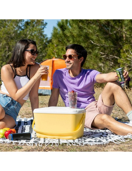Glacière rigide 15 L Lilty InnovaGoods – Fraîcheur portable