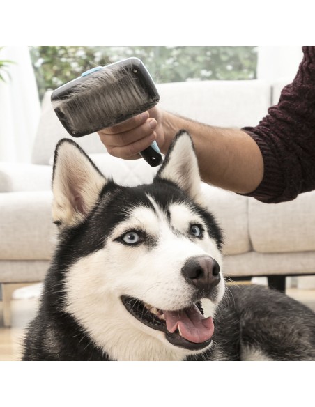 Brosse pour Animaux de Compagnie avec Dents Rétractables Groombot InnovaGoods