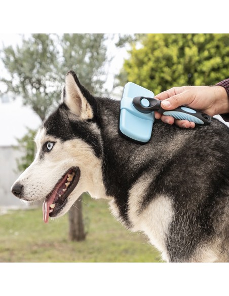 Brosse pour Animaux de Compagnie avec Dents Rétractables Groombot InnovaGoods