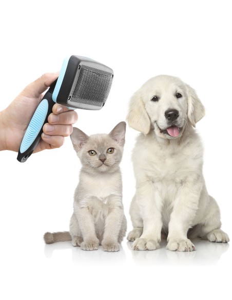 Brosse pour Animaux de Compagnie avec Dents Rétractables Groombot InnovaGoods