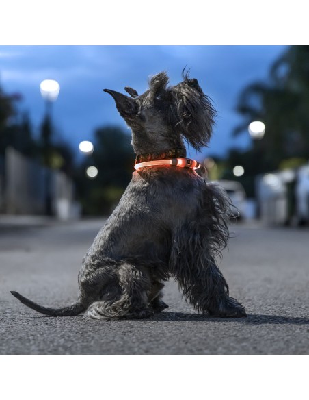 Collier à LED pour Animaux Petlux InnovaGoods