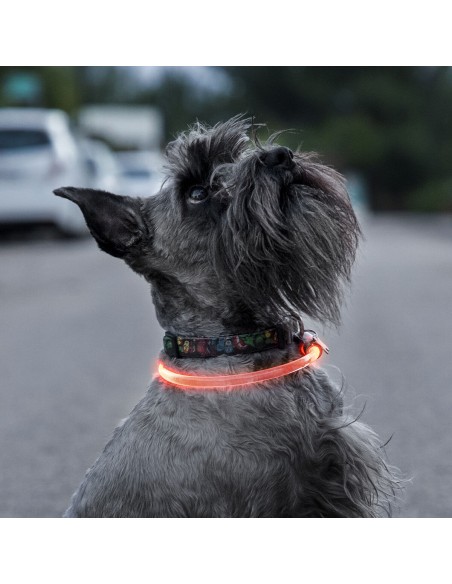 Collier à LED pour Animaux Petlux InnovaGoods
