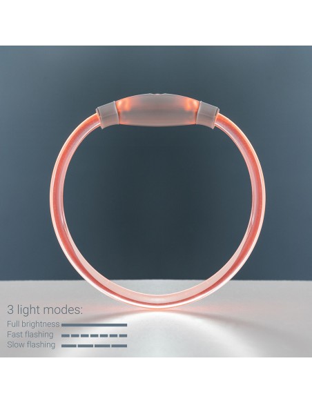 Collier à LED pour Animaux Petlux InnovaGoods