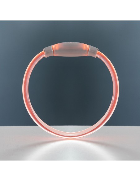 Collier à LED pour Animaux Petlux InnovaGoods