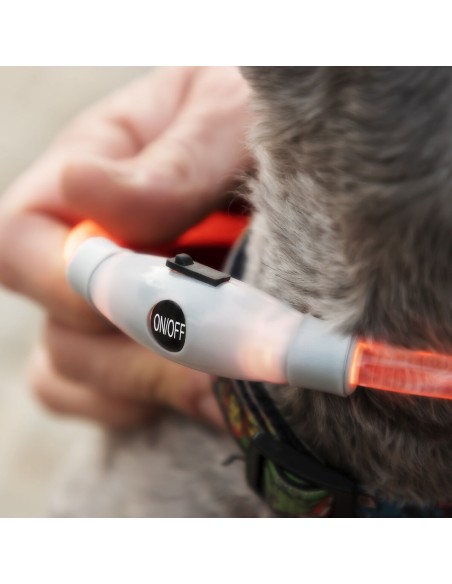 Collier à LED pour Animaux Petlux InnovaGoods