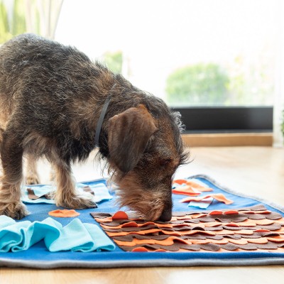 Tapis Olfactif pour Animaux de Compagnie Foopark InnovaGoods 2