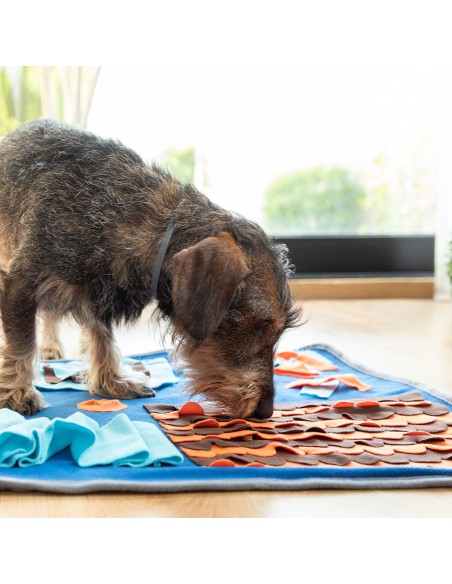 Tapis Olfactif pour Animaux de Compagnie Foopark InnovaGoods
