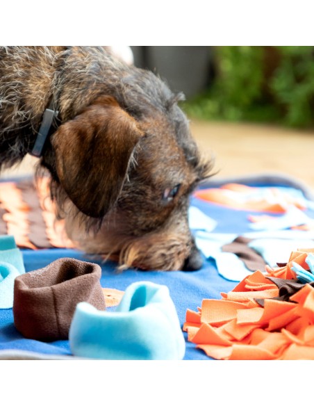 Tapis Olfactif pour Animaux de Compagnie Foopark InnovaGoods