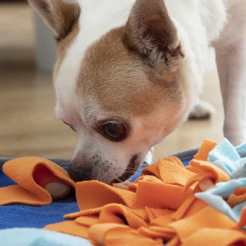 Tapis olfactif Fooland InnovaGoods – Jeu éducatif