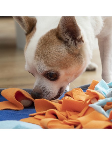 Tapis olfactif Fooland InnovaGoods – Jeu éducatif