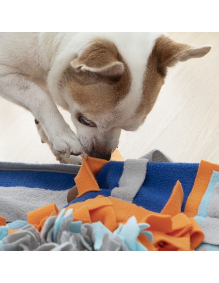 Tapis olfactif Fooland InnovaGoods – Jeu éducatif