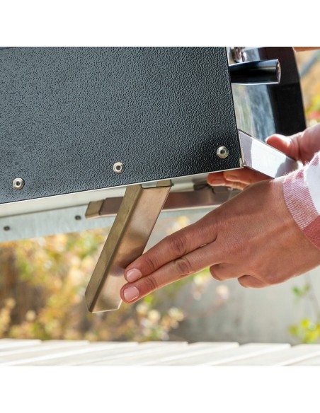 Four à Pizza à Pellets avec Accessoires Pizzahven InnovaGoods