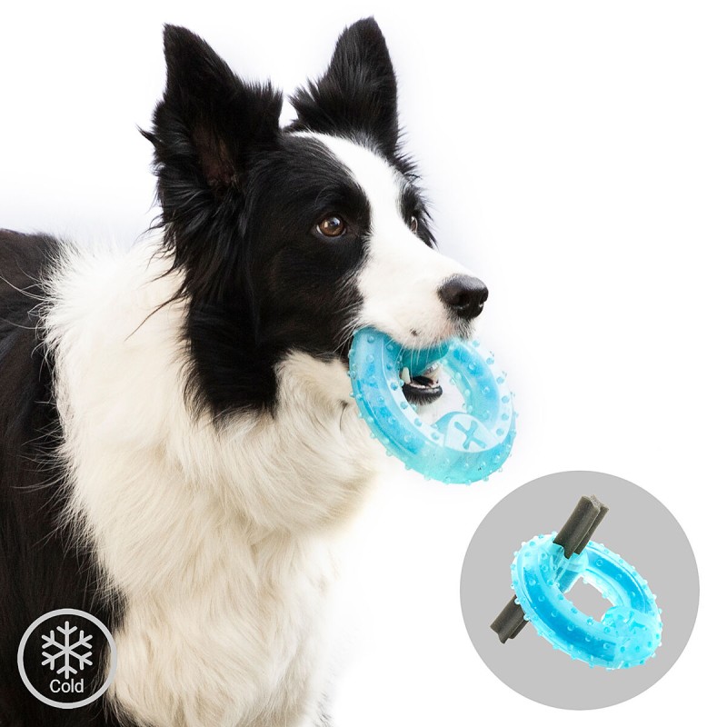 Jouet congelable Glubiz InnovaGoods – Apaisant & résistant