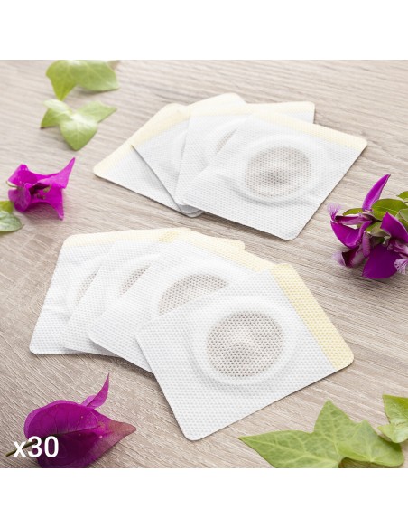 Set de Patchs Magnétiques Amincissants aux Extraits de Plantes Patmic InnovaGoods 30 Unités