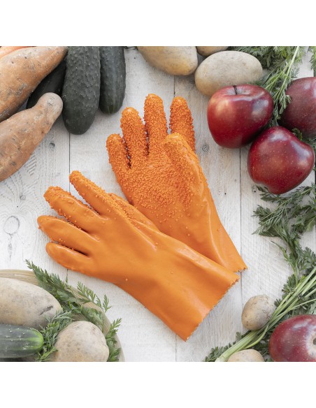 Gants Nettoyants de Fruits et Légumes Glinis InnovaGoods