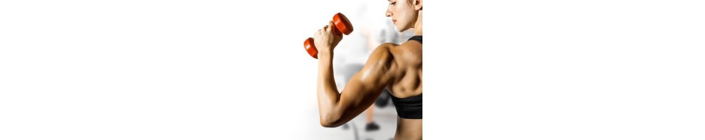 Fitness – Bandes, appareils et haltères